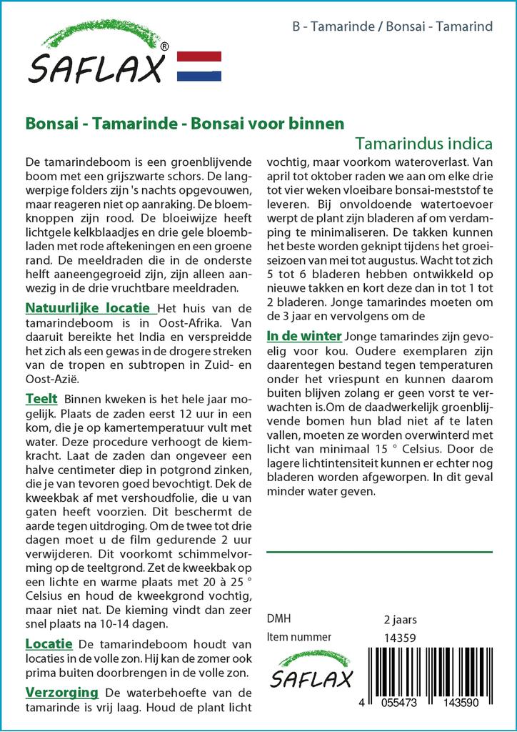 SAFLAX Garden in the Bag - Бонсай - Тамаринд - 4 семени - С субстратом в подходящем пакете-стойке - Tamarindus indica