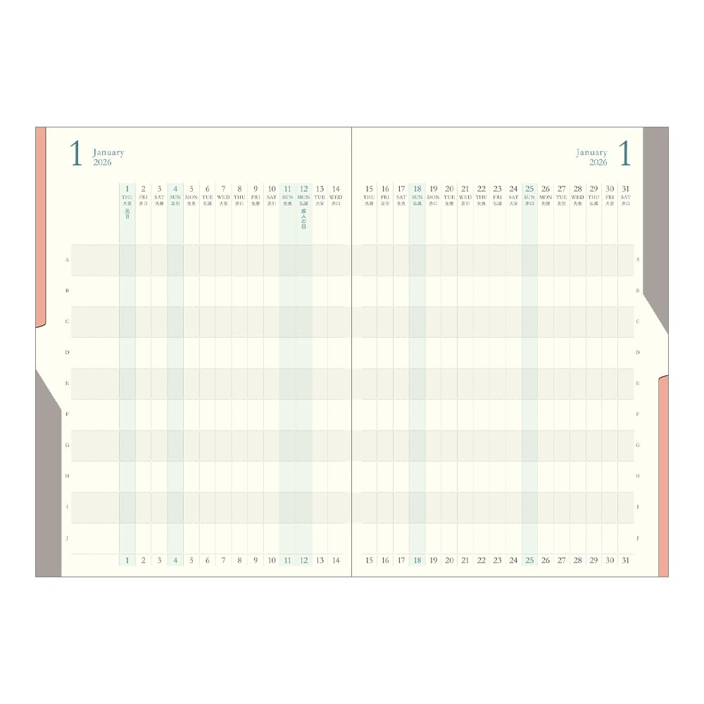 Midori Двойной расписание Темно-синий 22384006 Октябрьский планировщик, 2026, B6, Ежемесячный, Прогрессивный, Синий, (Начинается в 2025)