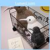 Long Kiwi Brown Mouth Bird Plush Toy Cartoon Child Bedroom Decoration Gift Doll