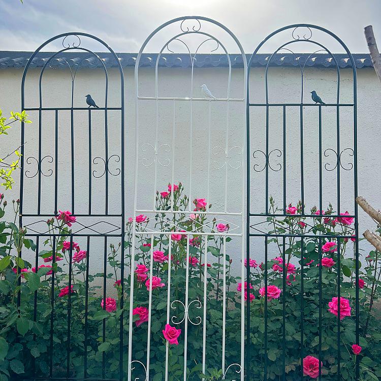 Clematis Iron Art Climbing Frame for Roses - Outdoor Plant Support Fence