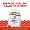 Nature's Way Children's Brain Builder 4 Years+ Lemonade Flavored Gummies, 60 Count