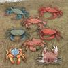 Simulation Animal Model Vivid Intelligence Development Solid Aquarium Miniature Crab Cognition Education Toy for Home