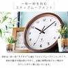 Iris Plaza Radio-Controlled Wall Clock, Natural Color, 25cm Diameter, with Dial, Receives Radio Waves for Accurate Timekeeping, Lightweight at 450g, T