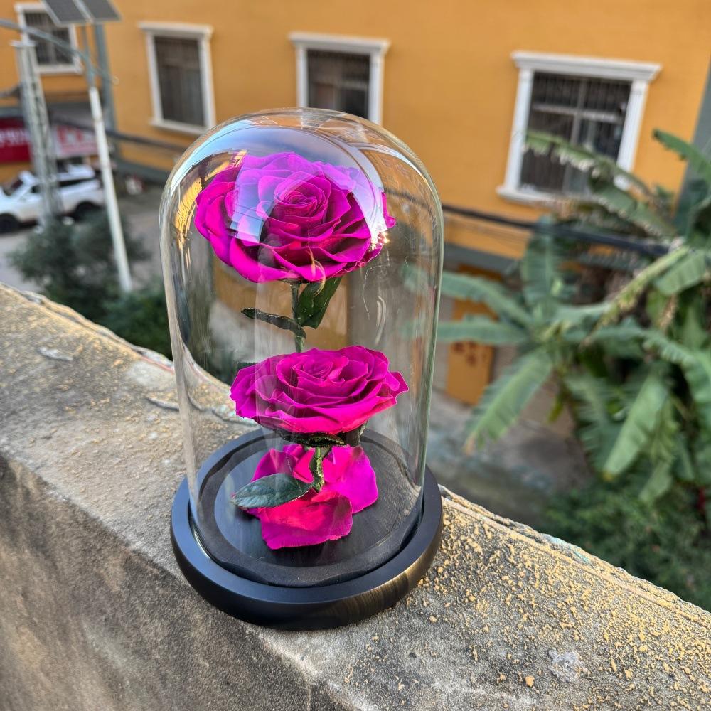 The Little Prince series rose glass cover eternal flower finished gift box can be customized