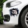 3D наклейки на автомобиль с изображением кота, автомобильный бампер, царапины, передний капот мотоцикла, декор топливного бака, съемные аксессуары для животных