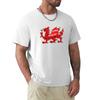 Cymru TShirt Sun Block Outdoor TShirt