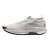 Кроссовки унисекс Pegasus Trail 5 GORE-TEX Vast Grey Sanddrift Summit-White Black FQ0908-010