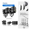 ZHIYING ZY300D 300 Вт светодиодный постоянный видеозаполняющий свет