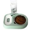 Pet cat bowl Automatic drinking water feeder anti-upset Stainless steel dog bowl Cat dog food bowl Pet supplies