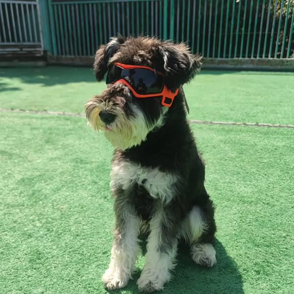 Солнцезащитные очки для собак, очки для домашних животных, удобные, мягкие, легко изнашиваемые, регулируемые очки
