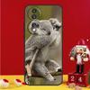 Чехол Koala для Honor Magic 8 6 7 Lite Honor X9d X9c X9b X9a X8b X8c Win 50 70 90 200 400 Pro