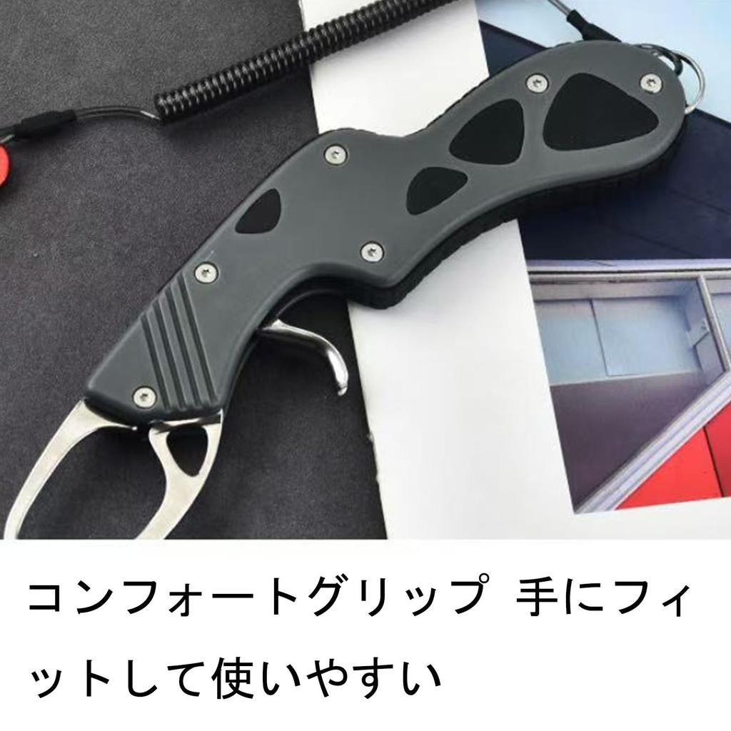 Зажим для рыбы из нержавеющей стали Daiwa, легкий и компактный, с веревкой-карабином и спиральным шнуром для предотвращения потери, для ловли окуня на открытой воде