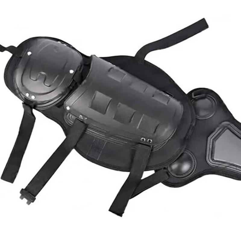 Bing Zhi You Anti-Riot Arm Guard