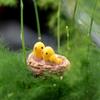 DIY Mini Bird's Nest Fairy Tale Garden Oriole Dwarf Moss Terrace Micro Landscape Ornament Resin Crafts Doll Planting Decoration