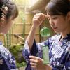 FRCOLOR Wind Glass Wind Set of Stylish Summer Traditional Chimes, Edo-style Chimes, 20. Handmade, DIY, Decoration, Tradition, Summer, Shrines,