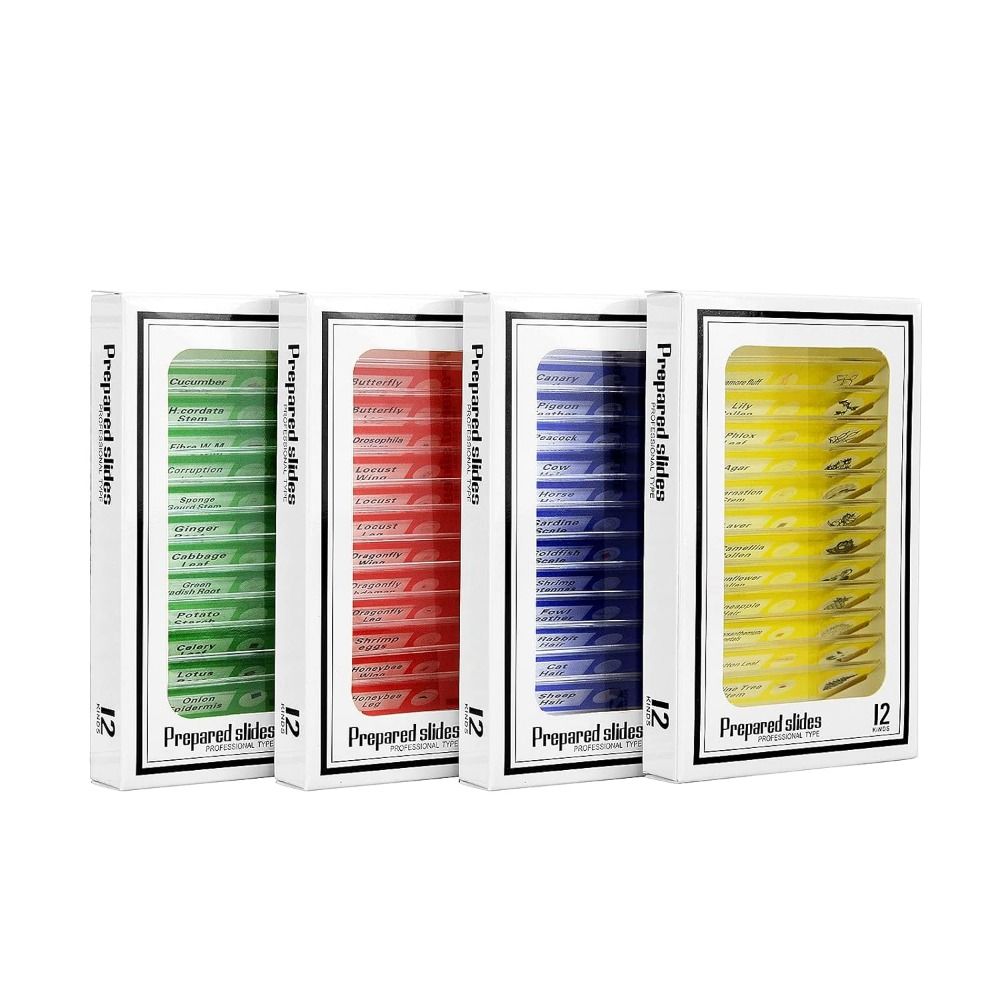 Животные Насекомые Растения Цветы Микроскоп Слайды Студенты Дети
