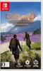 Outward Definitive Edition Переключатель -