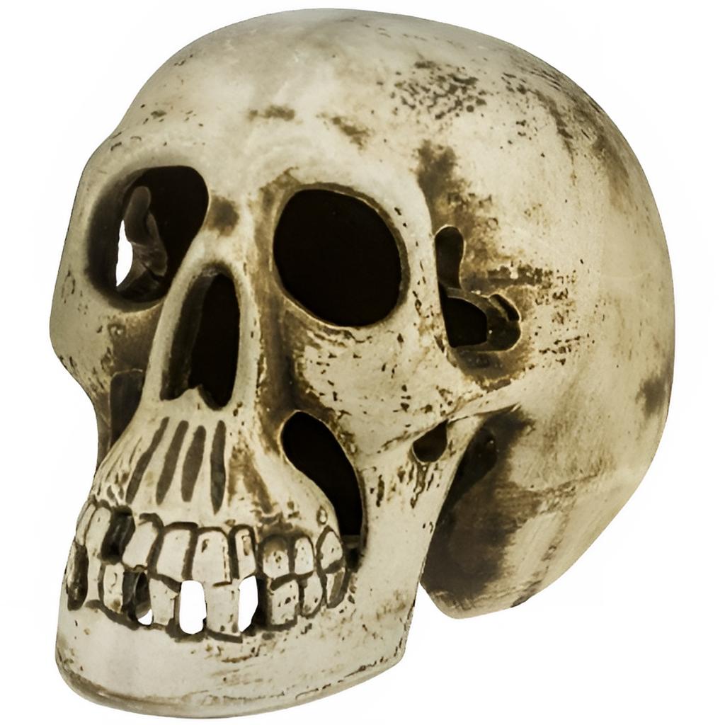Ceramic Human Skull