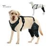 Dogs Knee Brace for Back Leg Dog Hip Knee Leg Brace ACL Support for Hip Dysplasia Dog Arthritis Luxating Patella