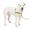 PetSafe Deluxe Easy Walk Dog Яблочно-зеленый x Шлейка против рывков, Черный, M/L
