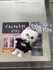 [USED] STRAY KIDS Cat Plush Toy