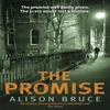Cambridge Promise by Alison Bruce Paperback Book 9781472112279
