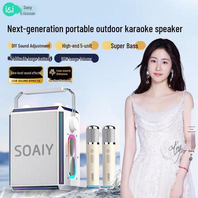 Портативная K-песенная колонка Solove SSK03 с микрофоном, штекер CN (адаптер в комплекте)
