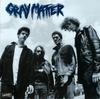 LP Пластинка GRAY MATTER - Take It Back DIS21V Dischord Record 2009 US Рок