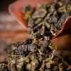 Jin Xuan Milk Oolong Tea Alishan Wulong Herbal Tea 500g Premium