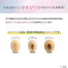 Medicinal Product Namelaka Honpo Toron Nō Gel Whitening N 100g Soy Isoflavones All-in-One