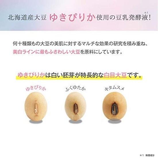 Medicinal Product Namelaka Honpo Toron Nō Gel Whitening N 100g Soy Isoflavones All-in-One