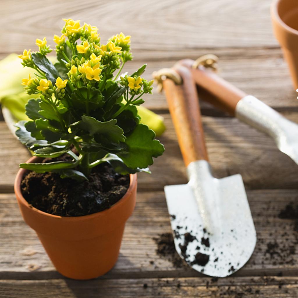 20 шт. Мини-терракотовый горшок, глиняный горшок для рассады, 1,77-дюймовый мини-глиняный горшок, крошечный глиняный горшок с дренажными отверстиями, семена суккулентов