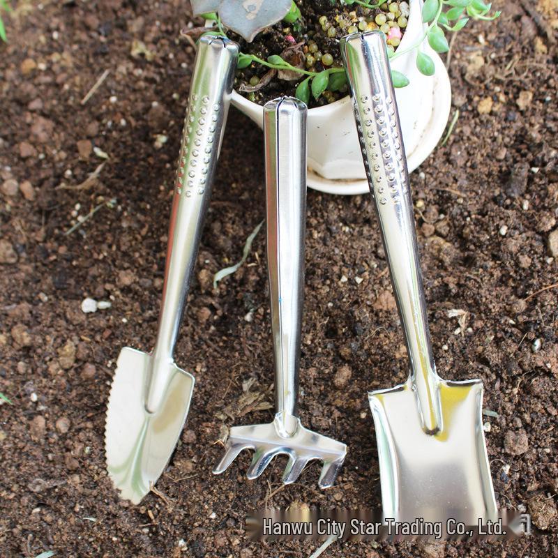 Набор садовых инструментов из нержавеющей стали: Лопата, мотыга и грабли для цветов и горшечных растений.