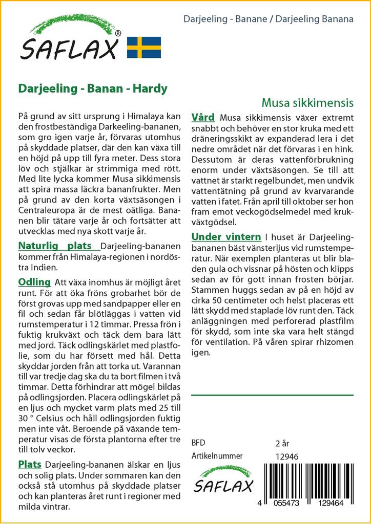 SAFLAX Банан Дарджилинг - 5 семян - Musa sikkimensis