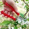 Садовые секаторы из нержавеющей стали с двойным лезвием для прореживания цветов, овощей и плодовых веток
