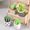 Kavayi Mini Kaktus Figuralari Sun'iy Qatron Kaktus Stol Bezaklari DIY Mikro-landshaft Bezaklari