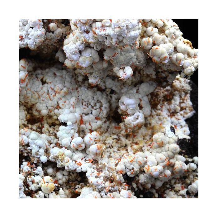 Pierres et Minéraux. Dundasite, Crocoite. 386.5 ct. Kapi Mine, North Dundas, Tasmania, Australie.