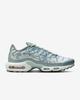FV0394-300 Nike Air Max Plus Waterway Белый Subway Стекловолокно (Мужской)