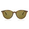 Унисекс Солнцезащитные Очки Ray Ban Rb4305 710 73