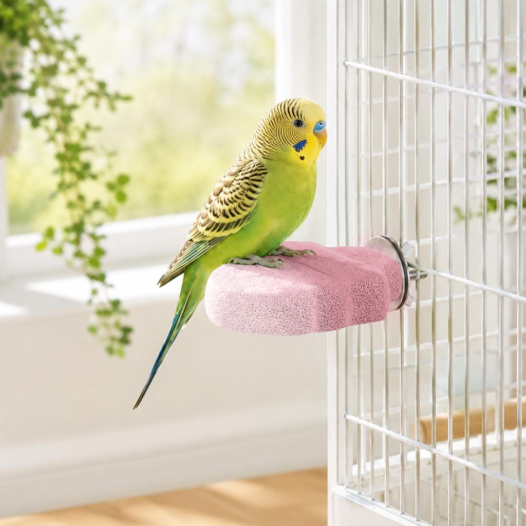 Bird Toy for Climbing and Play - Stand for Small Birds
