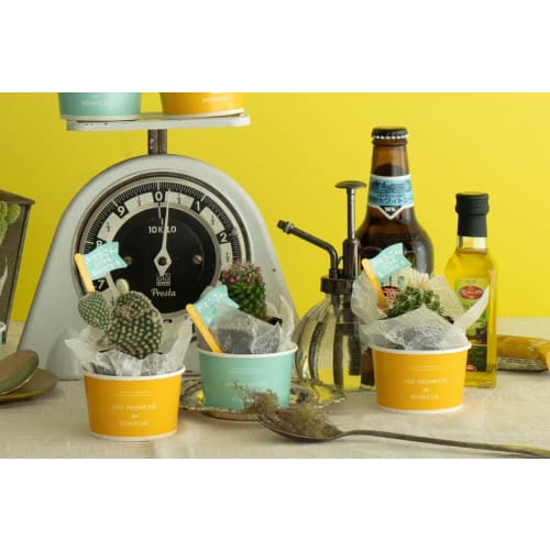 HEADS DWX-LTL1 Японская вощеная бумага, Белая, 16,5 x 16,5 см, 100 листов, Безопасна для пищевых продуктов, Дизайнерские листы