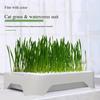 Hydroponic Growth System Pet Cat Grass Nursery Pot Growth Planting Pet Cat Grass Planting Basin Multifunctional Garden Supplies