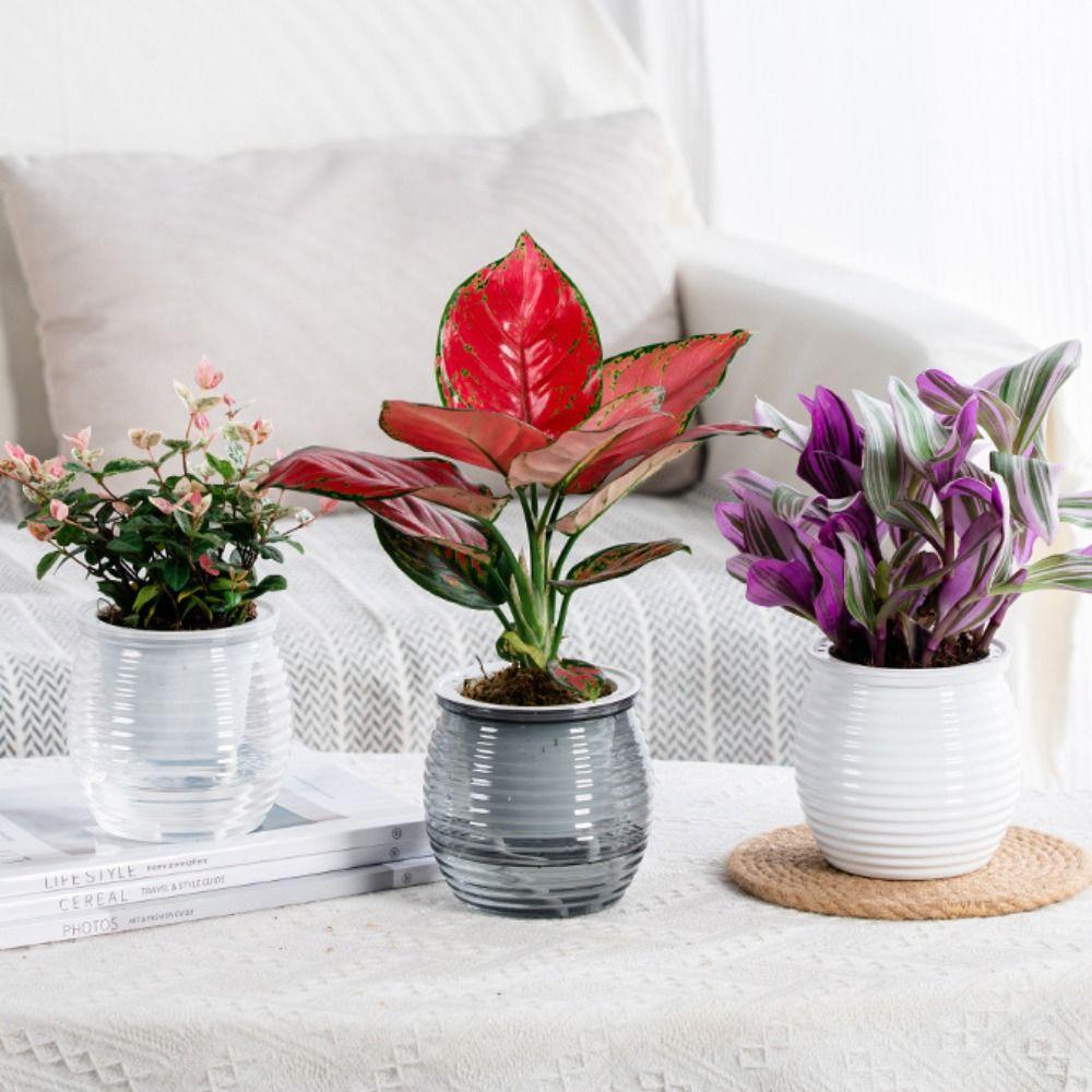 Automatic Water-Absorbing Self-Watering Plant Pots Transparent Lazy Plant Pots Desktop Flower Pot