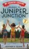Книга Journey To Juniper Junction : 1