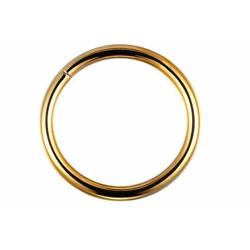 G23 Титан 14 г/16 г шарнирное сегментное кольцо для носа, кликер для сосков, ушной хрящ, спираль для козелка, губы, пирсинг тела