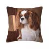 Custom Cavalier King Charles Spaniel Square Pillowcase Cushion Comfort Throw Pillow Sofa Cushions Used for Home Bedroom