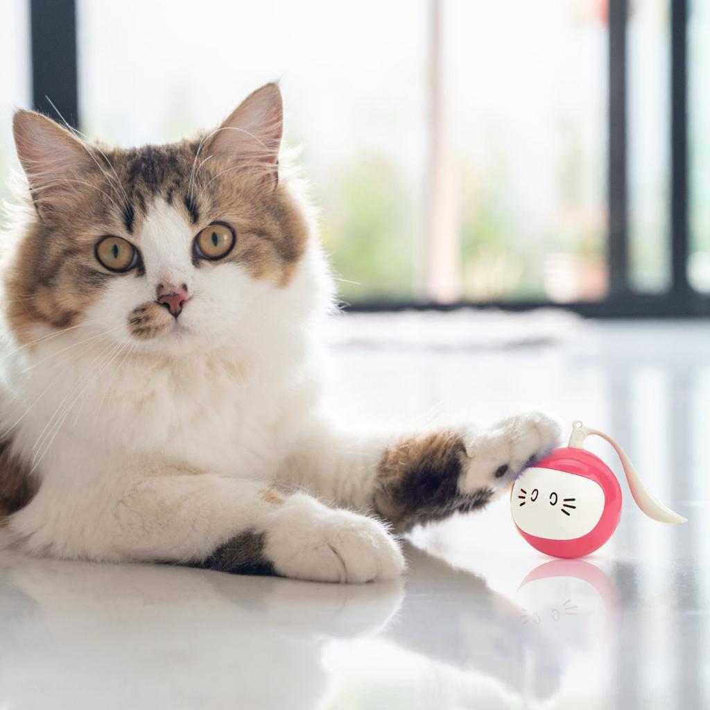 Interactive Cat Ball Toy, Can Make Sounds, Fun, Automatic Rolling Ball, With Furry Ball Toy, Small Mouse Tail, Rechargeable