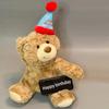 Doll 1PCS 35cm Hot New Birthday Hat Teddy Bear Cute Gift Teddy Bear Plush Toy Children's Girl Gifts