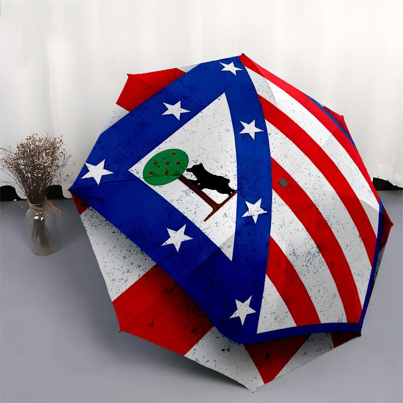 American Flag, Bear- Automatic Opening and Closing, 8-rib Structure Portable Umbrella, Suitable for Men and Women in All Seasons - Perfect G
