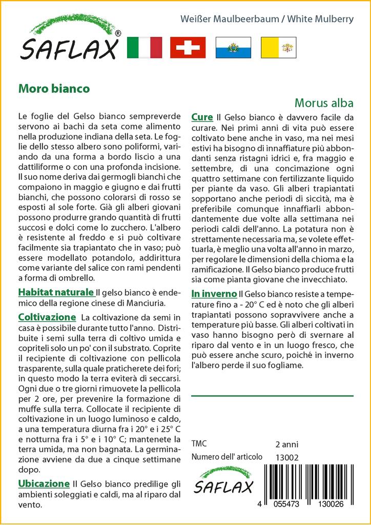 SAFLAX Шелковица белая - 200 семян - Morus alba